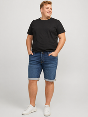 Jack & Jones - Rick Shorts GE 132