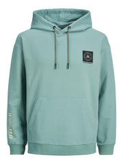 Jack & Jones  - Filo Sweat Hoody Trelis