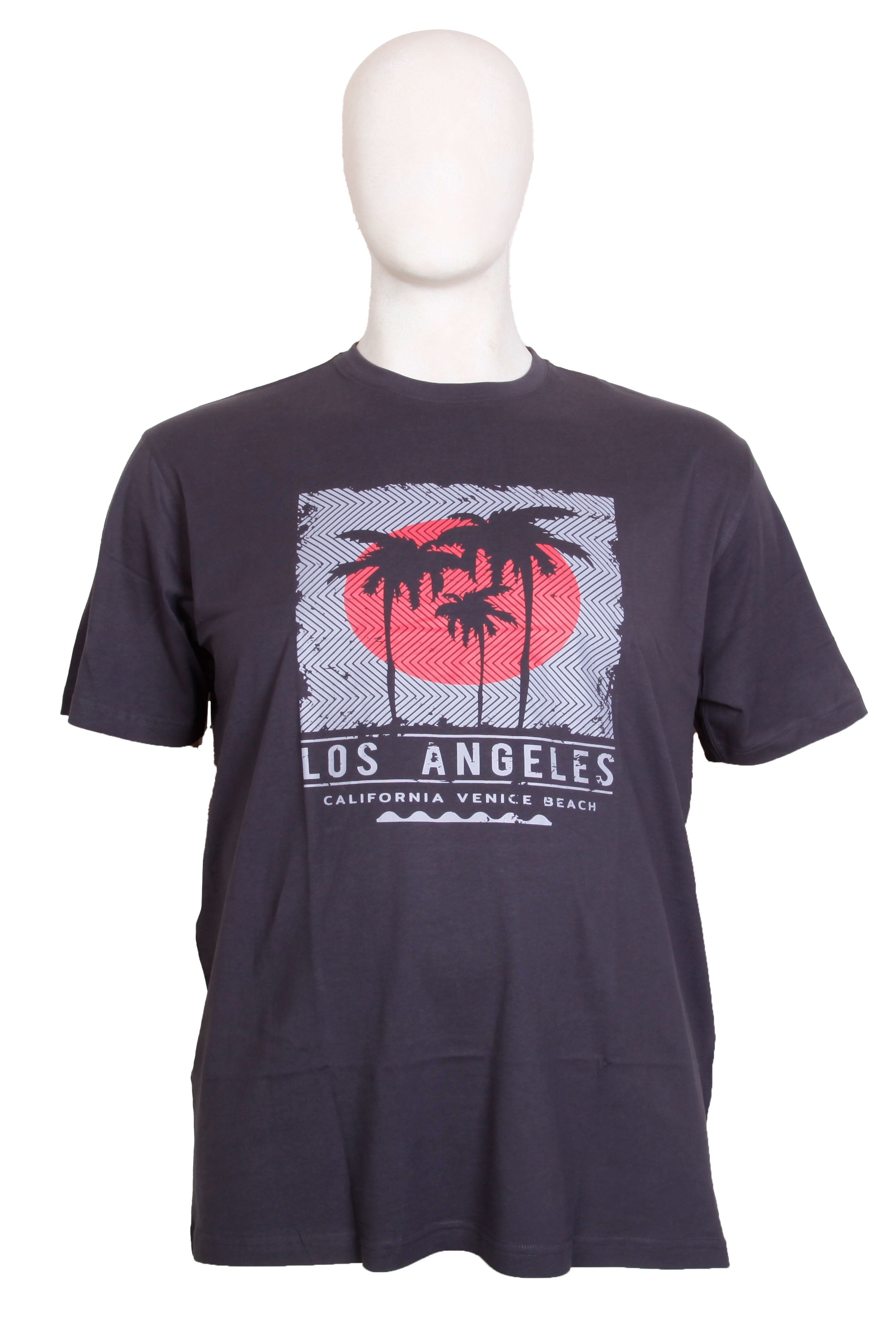 Espionage - LA Print T-Shirt